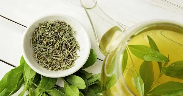 Evde saç bakımı için yeşil çay
