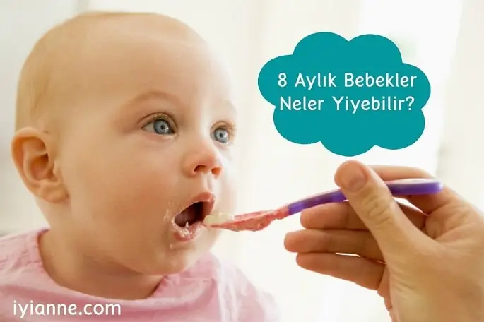 8 aylık bebekler neler yiyebilir